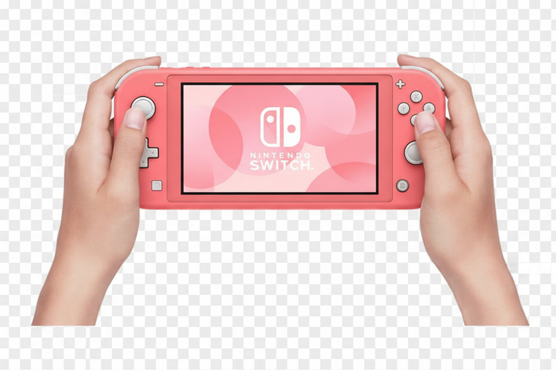 Nintendo Switch Nintendo 10004131-1