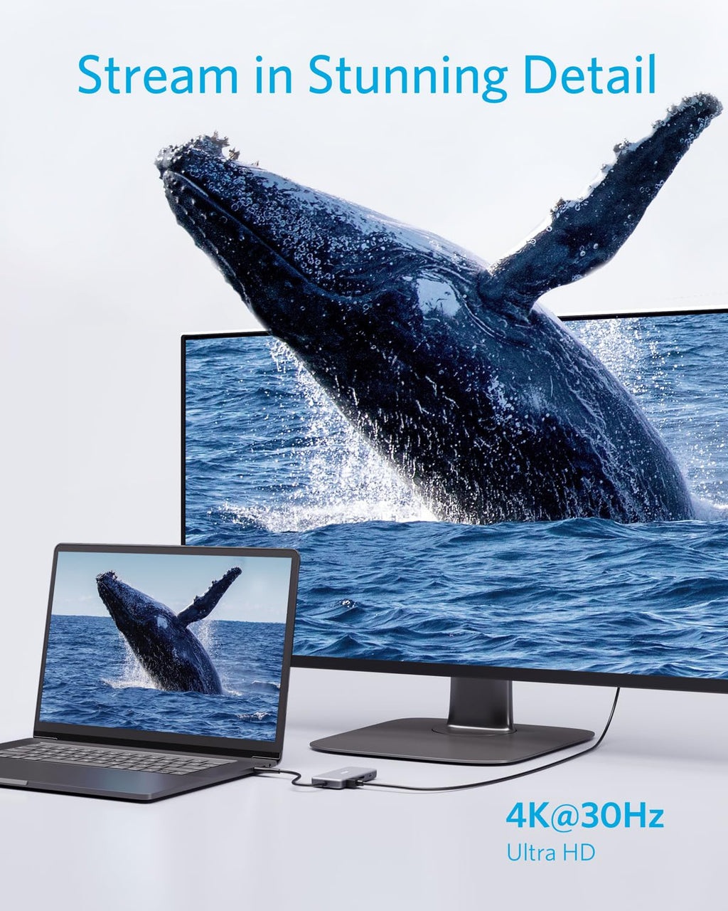 Two monitors and a laptop displaying a whale jumping out of water with text 'Stream in Stunning Detail' and '4K@30Hz Ultra HD'.