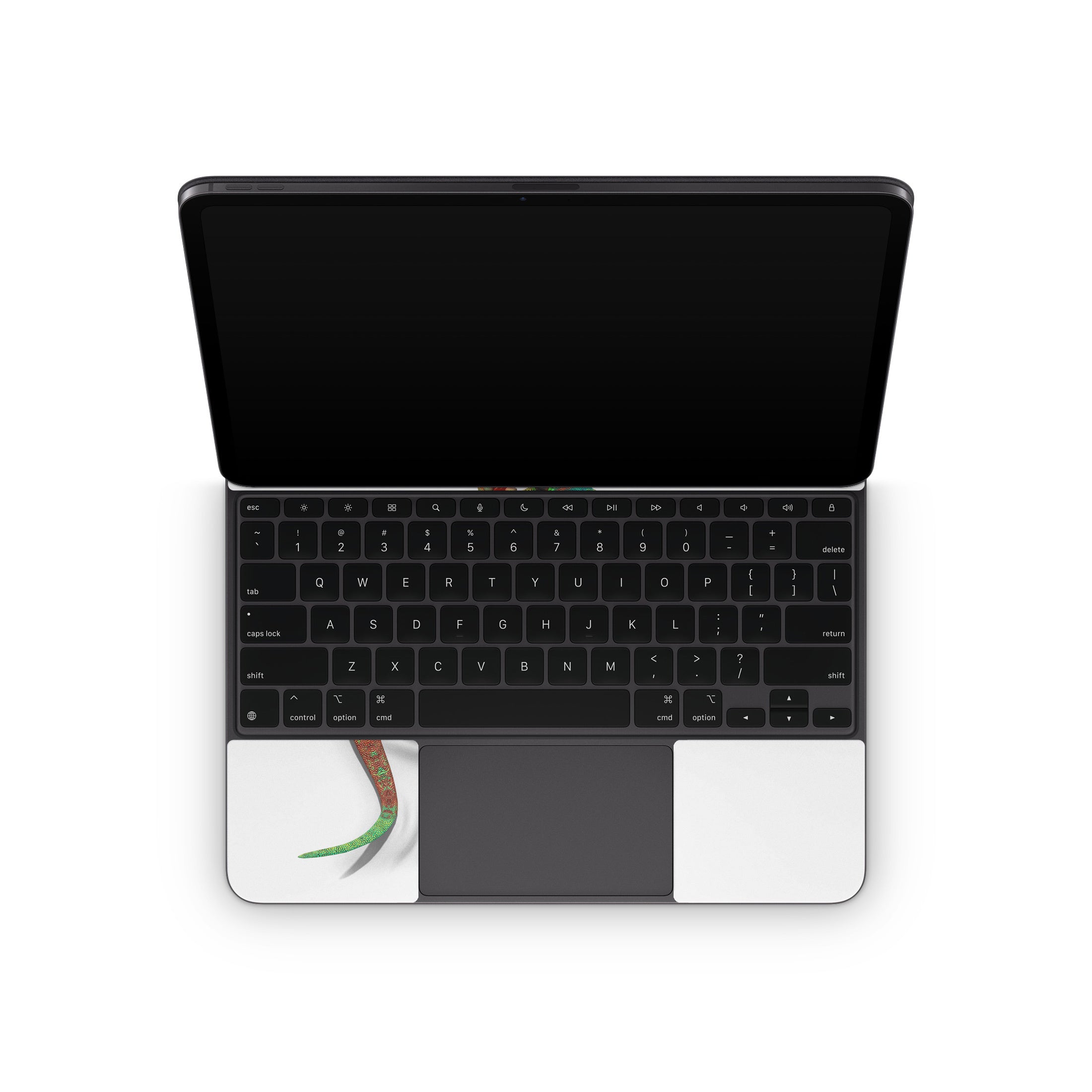 Gecko - Skin para teclado Apple Magic Keyboard para iPad