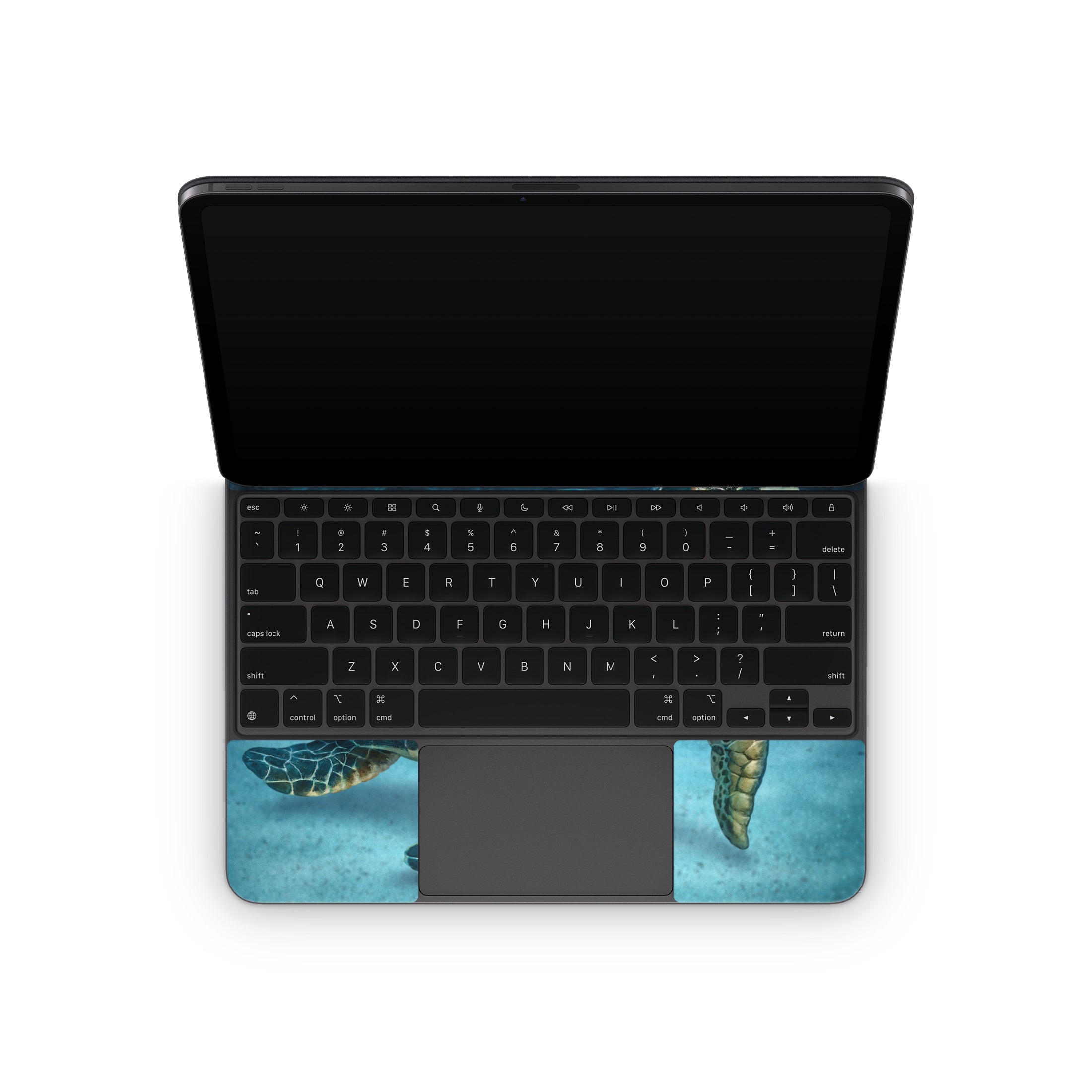 海龟 - Apple iPad 妙控键盘贴纸