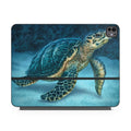 海龟 - Apple iPad 妙控键盘贴纸