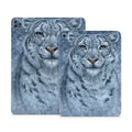 Snow Queen - Apple iPad Wrap