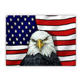 Bald eagle in front of an American flag