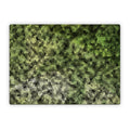 Seeking - Microsoft Surface Laptop Wrap